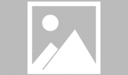 娱乐圈吃瓜图鉴,揭秘明星们的“吃瓜”日常